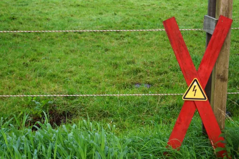 Pose de clôture électrique, Saint-Baudille-et-Pipet, SAS Trièves Matériel Elevage